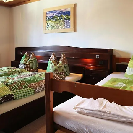 Rauchenbacher Apartments, Apartman Mittersill