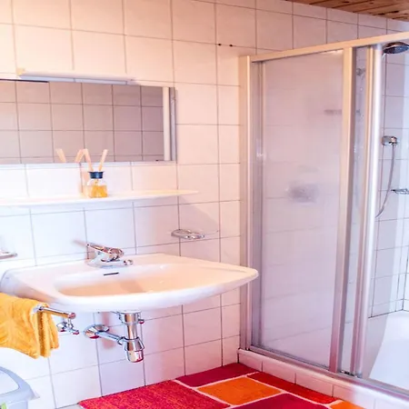 Apartmán Rauchenbacher Apartments, *